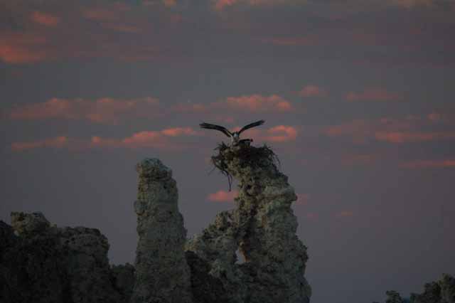 Mono Lake